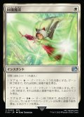 回復魔法/Restoration Magic