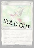 回復魔法/Restoration Magic