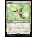 画像1: 回復魔法/Restoration Magic (1)