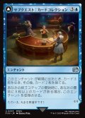サブクエスト：カードコレクション/Sidequest: Collection