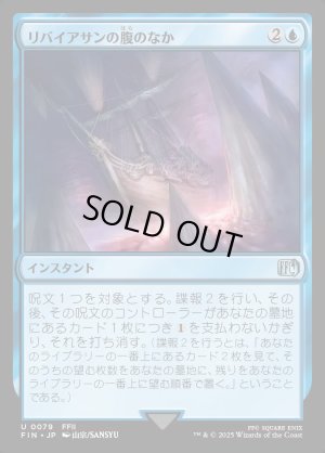 画像1: リバイアサンの腹のなか/Swallowed by Leviathan