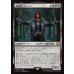 画像1: 簒奪者、アーデン/Ardyn, the Usurper (1)