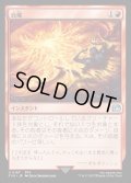 自爆/Self-Destruct