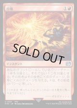 自爆/Self-Destruct