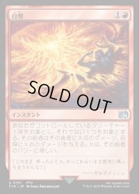 自爆/Self-Destruct