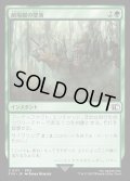 劇場艇の墜落/Airship Crash