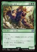 闘技場のベヒーモス/Coliseum Behemoth
