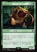 ギガントード/Gigantoad