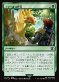ギサールの野菜/Gysahl Greens