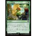 画像1: ギサールの野菜/Gysahl Greens (1)