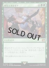 新生エオルゼア/A Realm Reborn