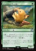 サッズのヒナチョコボ/Sazh's Chocobo