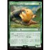 画像1: サッズのヒナチョコボ/Sazh's Chocobo (1)