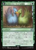 サブクエスト：チョコボ育成/Sidequest: Raise a Chocobo