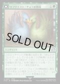 サブクエスト：チョコボ育成/Sidequest: Raise a Chocobo