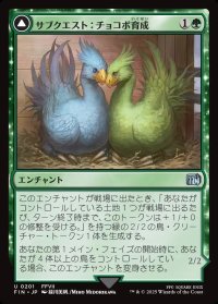 サブクエスト：チョコボ育成/Sidequest: Raise a Chocobo