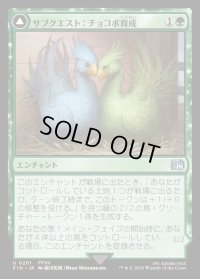 サブクエスト：チョコボ育成/Sidequest: Raise a Chocobo