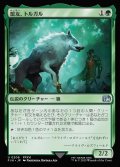 盟友、トルガル/Torgal, A Fine Hound