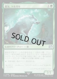 盟友、トルガル/Torgal, A Fine Hound