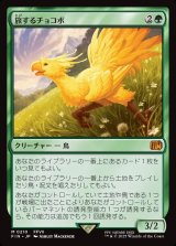 旅するチョコボ/Traveling Chocobo
