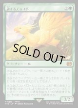 旅するチョコボ/Traveling Chocobo