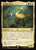 桃源郷の探求者、チョコ/Choco, Seeker of Paradise