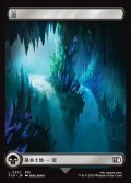 沼/Swamp