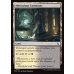 画像2: 詳細の広場/Meticulous Commons (2)