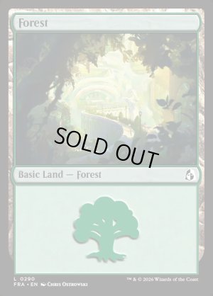画像2: 森/Forest