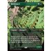 画像2: タルモゴイフ/Tarmogoyf (2)