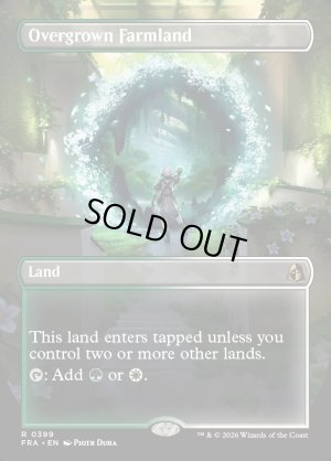 画像2: 草茂る農地/Overgrown Farmland