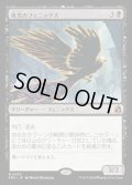 夜光のフェニックス/Darklight Phoenix