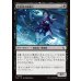 画像1: 理論派の屍術士/Theoretical Necromancer (1)