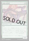 秘儀の両頭蛇/Arcane Amphisbaena