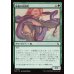 画像1: 秘儀の両頭蛇/Arcane Amphisbaena (1)