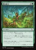 獣の乱入/Bestial Incursion