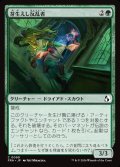 芽生えし反乱者/Budding Insurgent