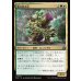 画像1: 暴れ咲き花/Bloombrute (1)