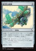 医学生の帆凧/Medic's Kitesail
