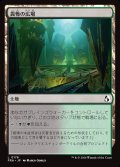 畏怖の広場/Formidable Commons