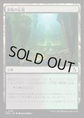 畏怖の広場/Formidable Commons