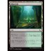 画像1: 畏怖の広場/Formidable Commons (1)