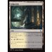 画像1: 詳細の広場/Meticulous Commons (1)