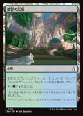 変容の広場/Transformative Commons