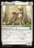 寵愛受けし友、義丸/Yoshimaru, Beloved Companion