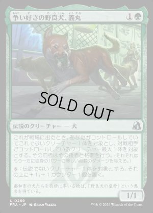 画像1: 争い好きの野良犬、義丸/Yoshimaru, Scrappy Stray