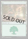 森/Forest