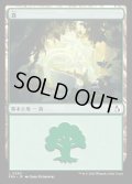 森/Forest