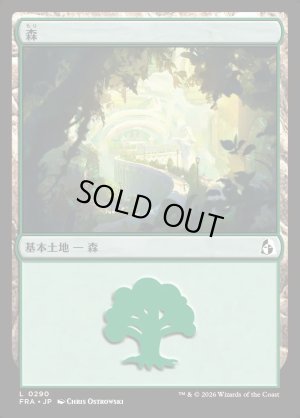 画像1: 森/Forest