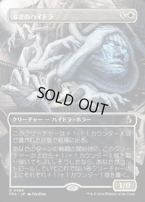 画像1: 導きのハイドラ/Guiding Hydra